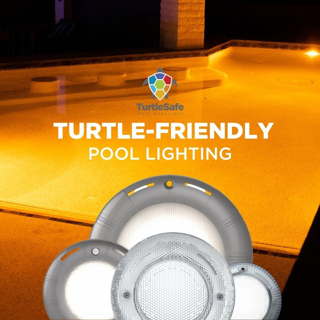 What Are Turtle Friendly Lights Blue Square Manufacturing